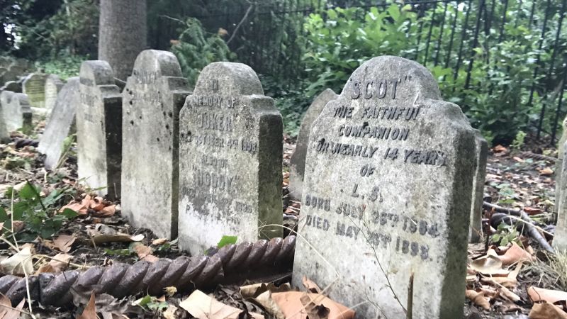 Exploring Human Connection Through the Lens of Pet Cemeteries